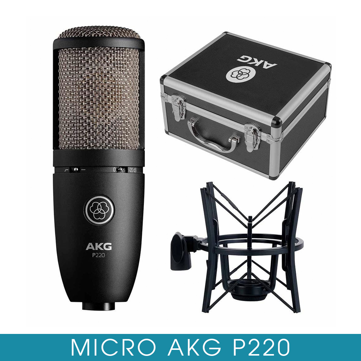 Micro P220 AKG - Micro thu âm chuyên nghiệp